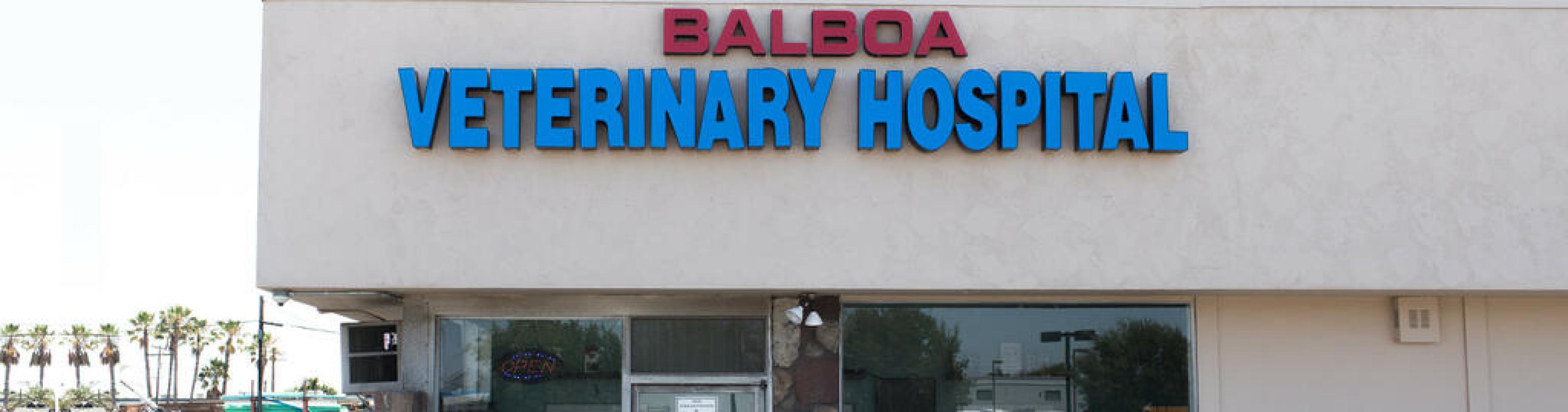 858-279-0425 - Balboa Veterinary Hospital - Animal Hospital in San Diego,  CA | Find & Book Pet Boarding