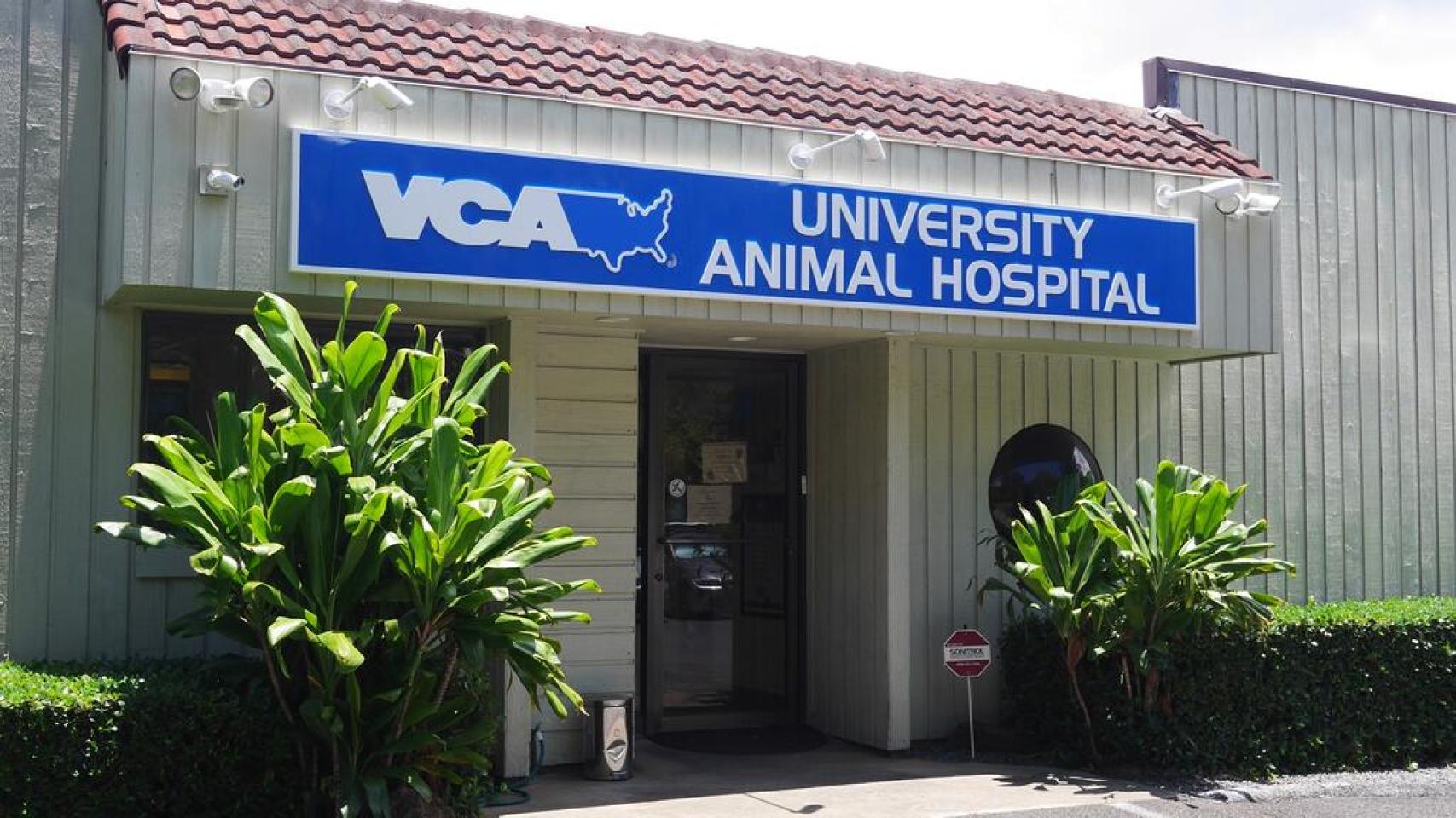 Vca vineyard fashion animal hospital