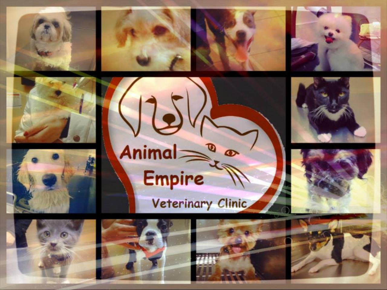 Pets empire Veterinary clinic