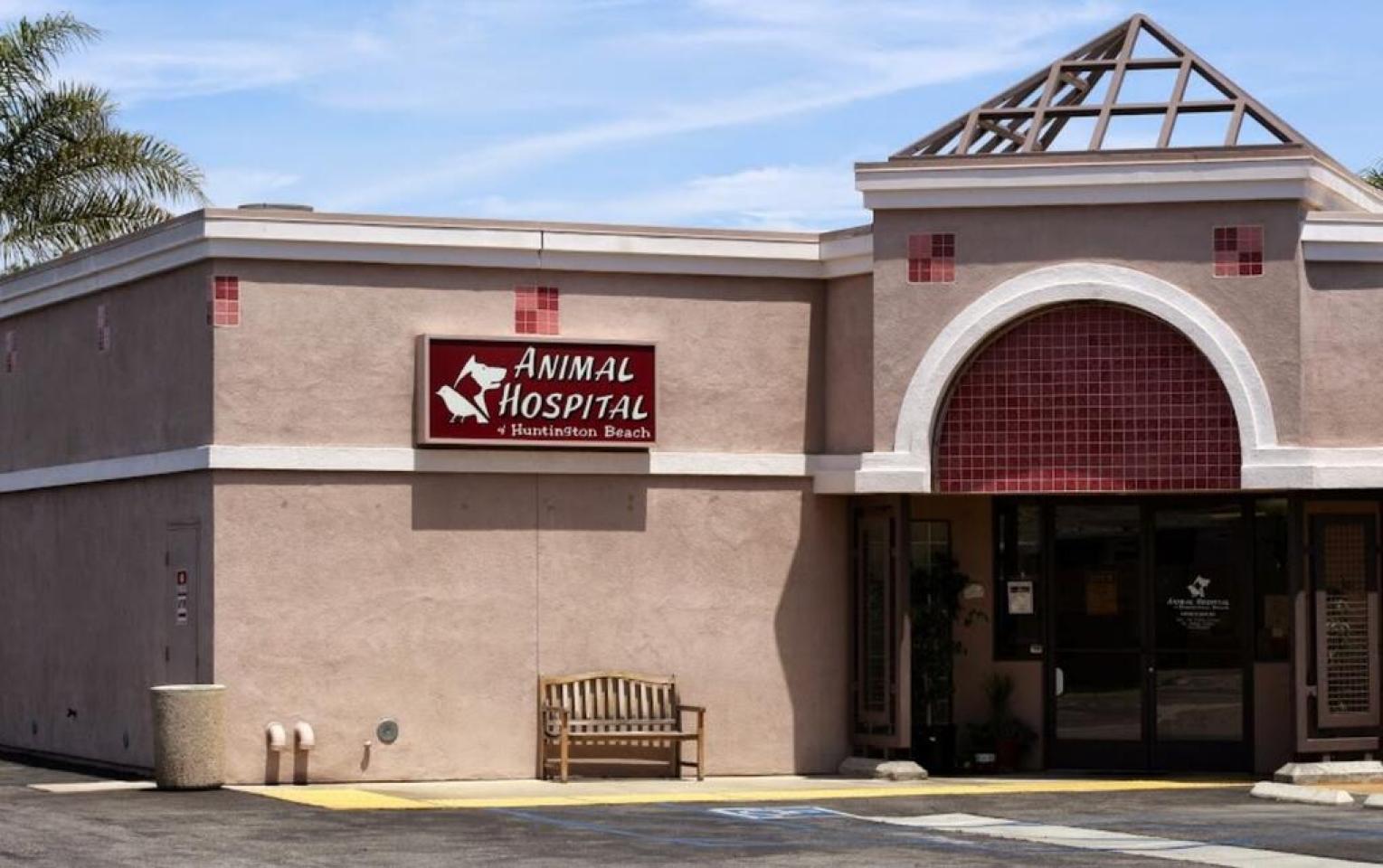 Beach city hot sale animal hospital