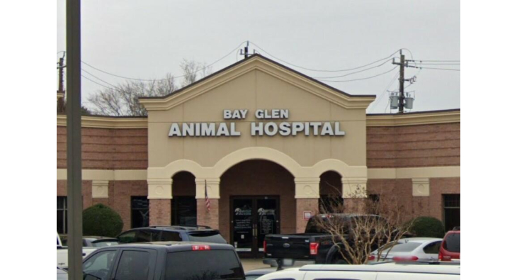 281-480-8800 - Bay Glen Animal Hospital - Animal Hospital in Houston