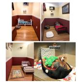 407 688 7626 Hollywood Houndz Boutique Spa Hotel Dog Hotel