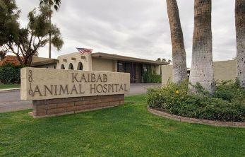 palm glen animal hospital reviews