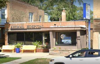 avondale animal hospital chicago