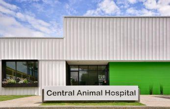 Animal Hospitals & Vets in Memphis TN